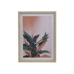 Πίνακας printed φυτό με πλαίσιο 40χ60εκ