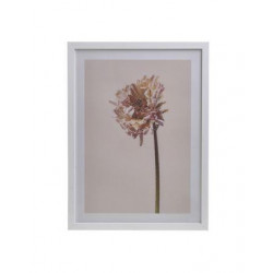 Πίνακας printed λουλούδι με πλαίσιο 30χ40εκ